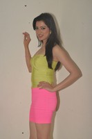 Richa Panai Spicy Photos